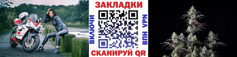 Что такое Суровикино Марихуана  СК  Мефедрон  АМФ  КОКАИН 