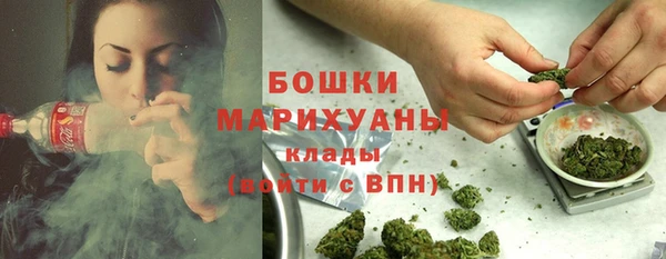 ПСИЛОЦИБИНОВЫЕ ГРИБЫ Грязовец