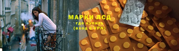 сатива Аркадак