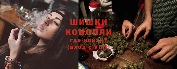 сатива Аркадак
