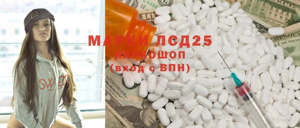 ПСИЛОЦИБИНОВЫЕ ГРИБЫ Грязовец