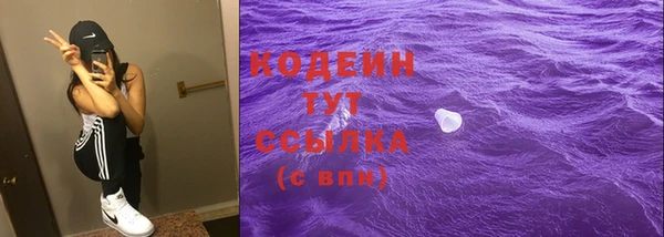ПСИЛОЦИБИНОВЫЕ ГРИБЫ Грязовец