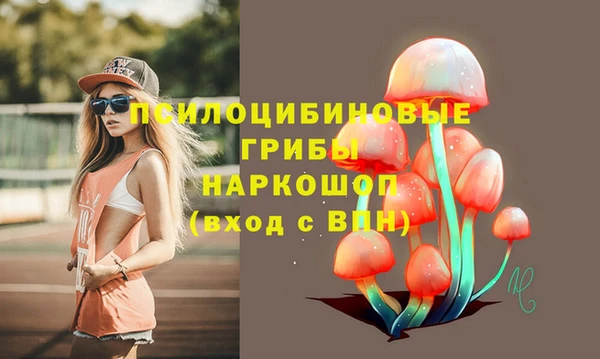 мяу мяу мука Армянск