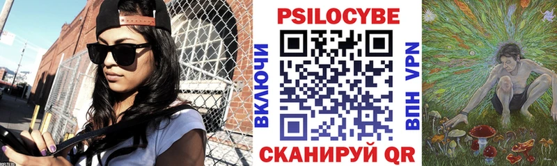 Псилоцибиновые грибы MAGIC MUSHROOMS  кракен рабочий сайт  Суровикино 